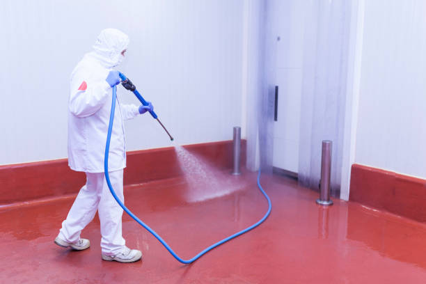 Best Deck and Patio Pressure Washing in Beacon, NY